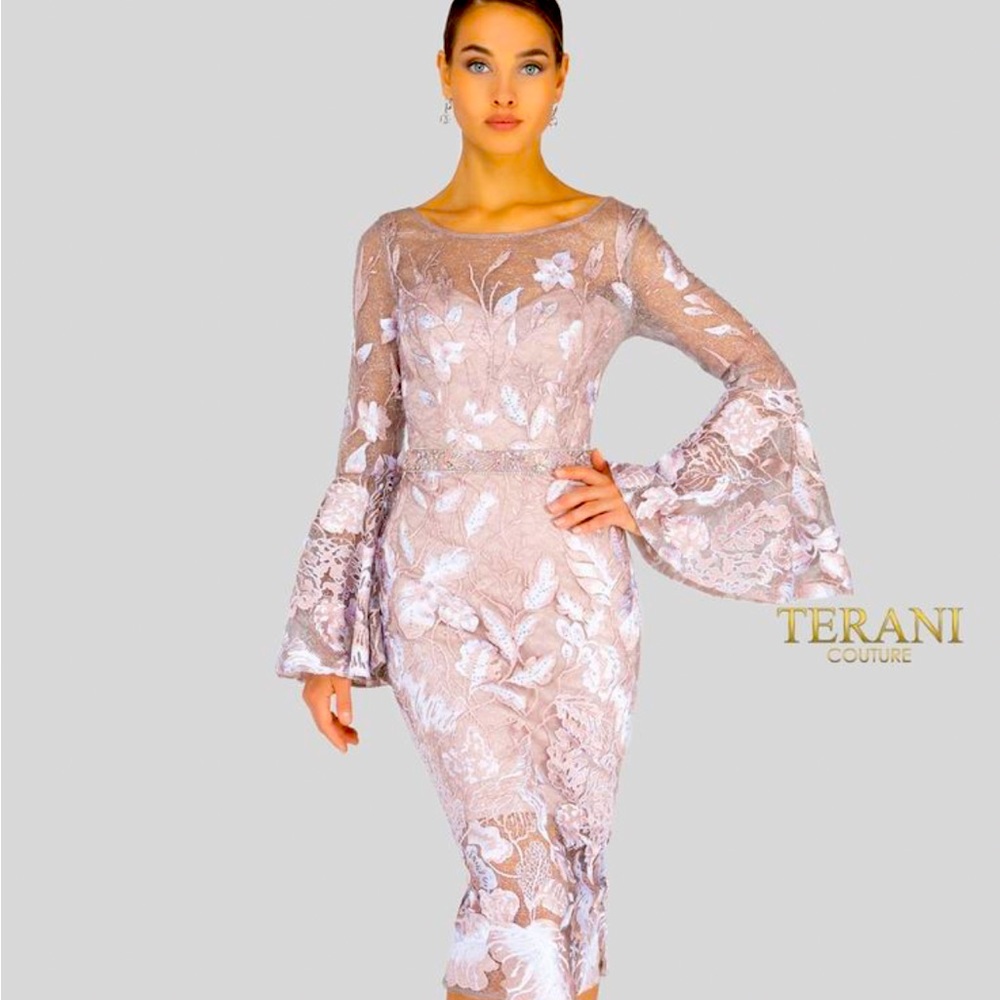 Special occasion Terani couture dress